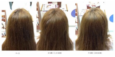 フェルモ:頭頂部ボリュームアップ:70束
