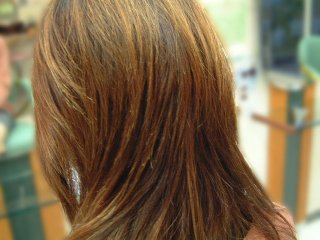 エクステサンプル:スタッフモデル スタッフモデル